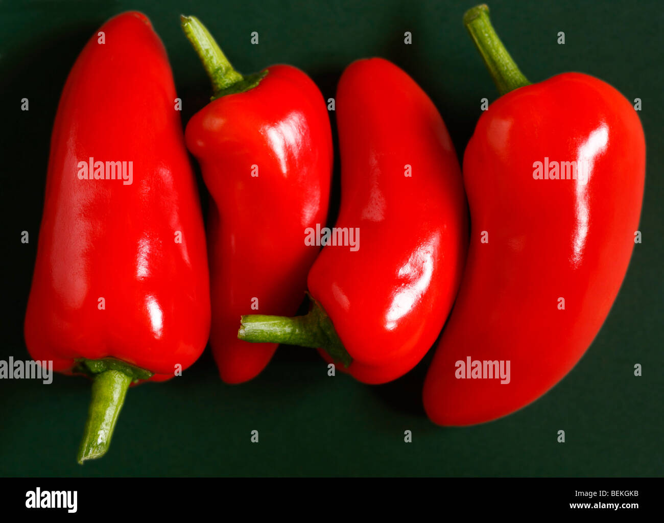 Four red chilli peppers. Stock Photo