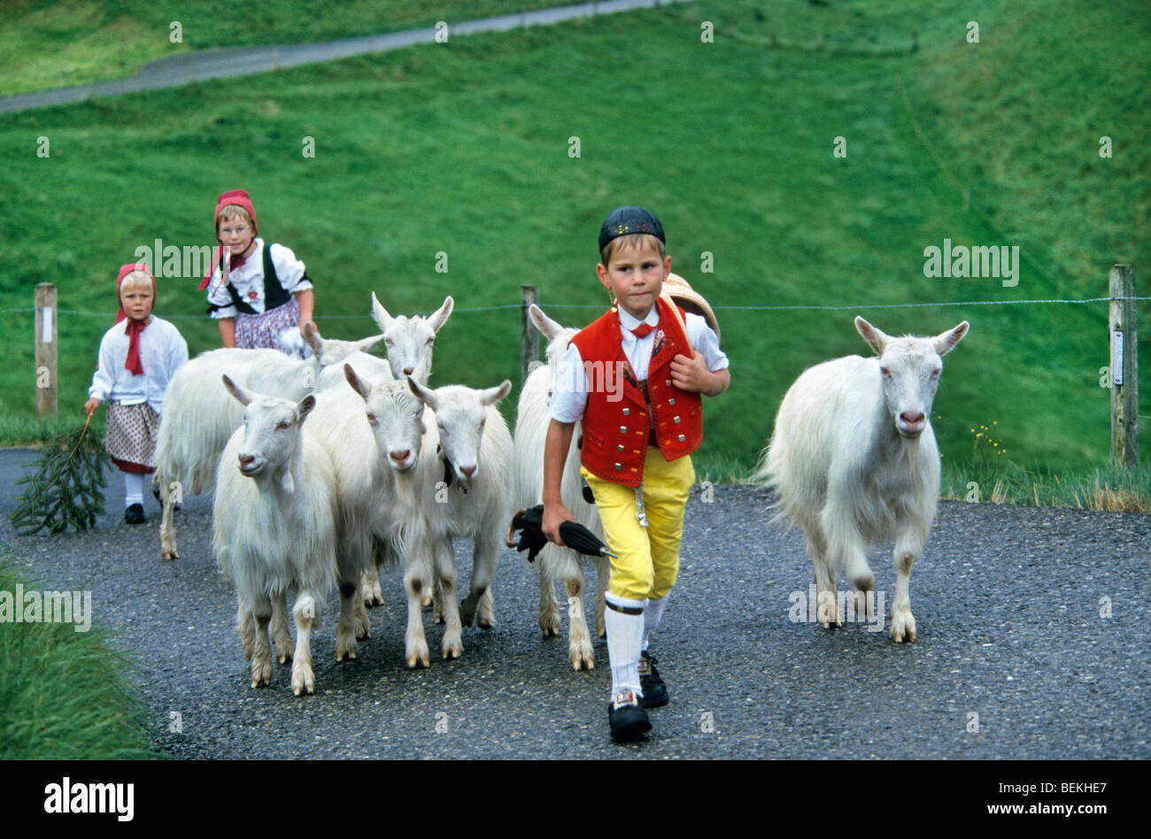 Children in traditional costumes herding goats (Capra hircus) during the Alpaufzug, Appenzell, Switzerland Stock Photo