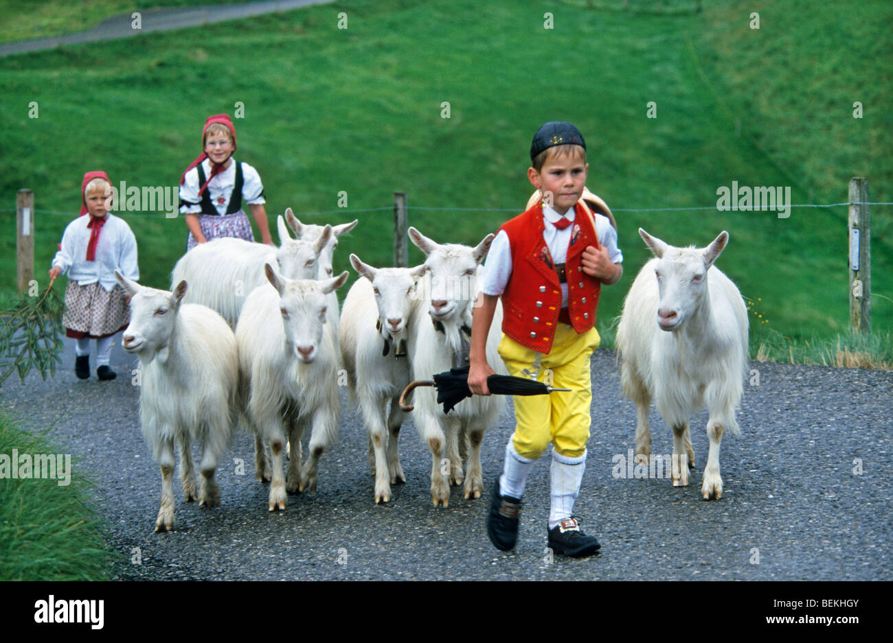 Children in traditional costumes herding goats (Capra hircus), Alpaufzug, Appenzell, Switzerland Stock Photo