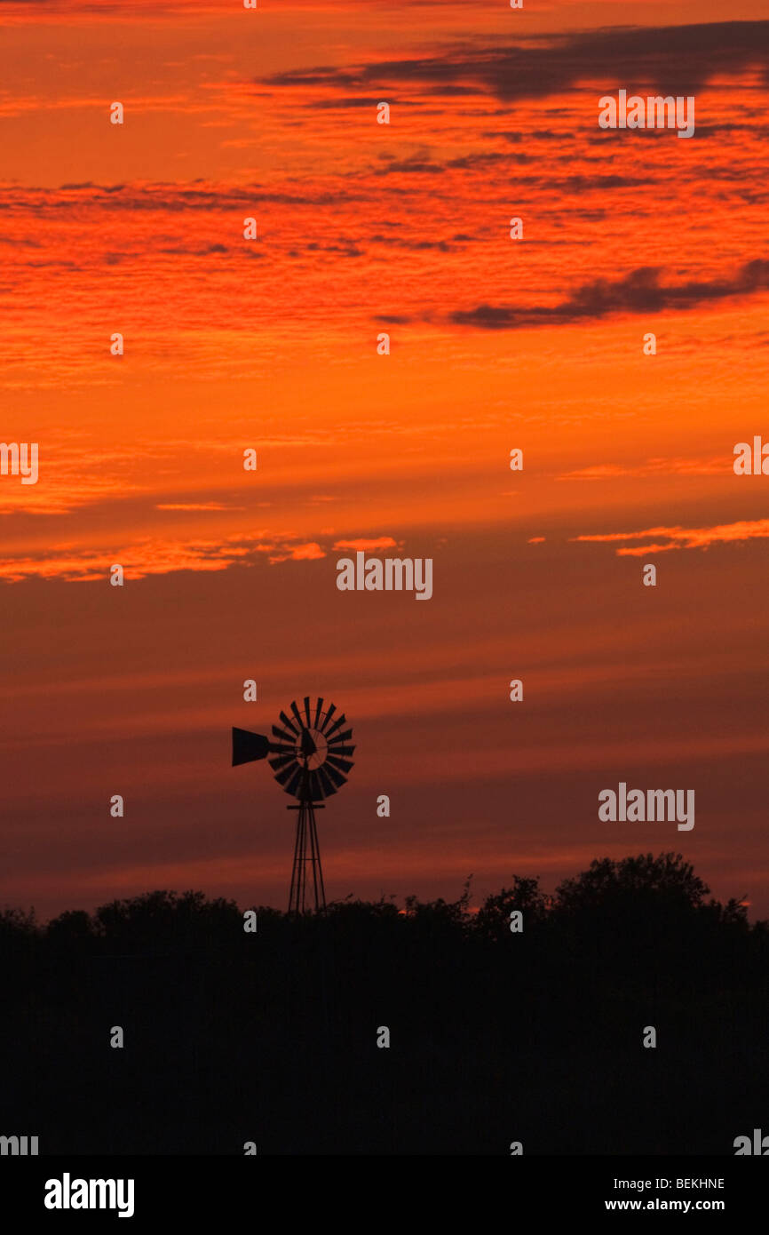 Wind mill at sunset, Sinton, Corpus Christi, Coastal Bend, Texas, USA 