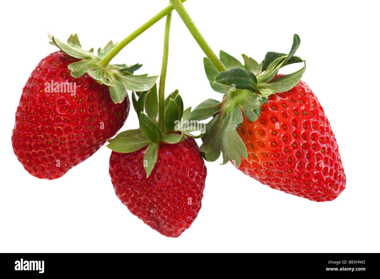 ripe red strawberries with stems and leaves Stock Photo