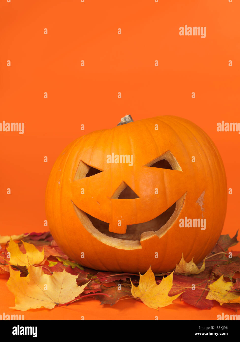 Carved smiling pumpkin on colorful fall leaves. Jack-o'-lantern Halloween symbol. Stock Photo