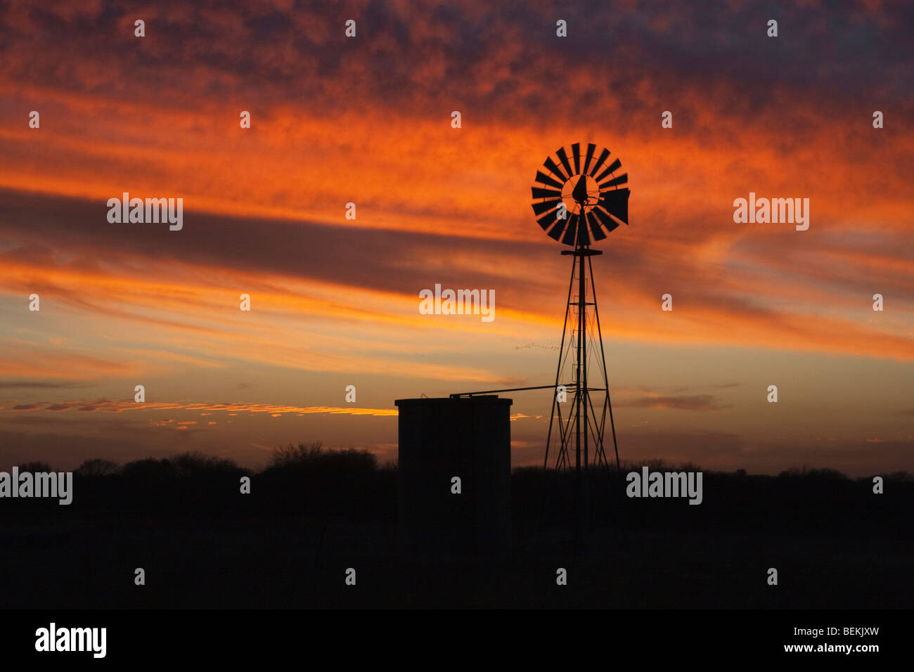 Wind mill at sunset, Sinton, Corpus Christi, Coastal Bend, Texas, USA 