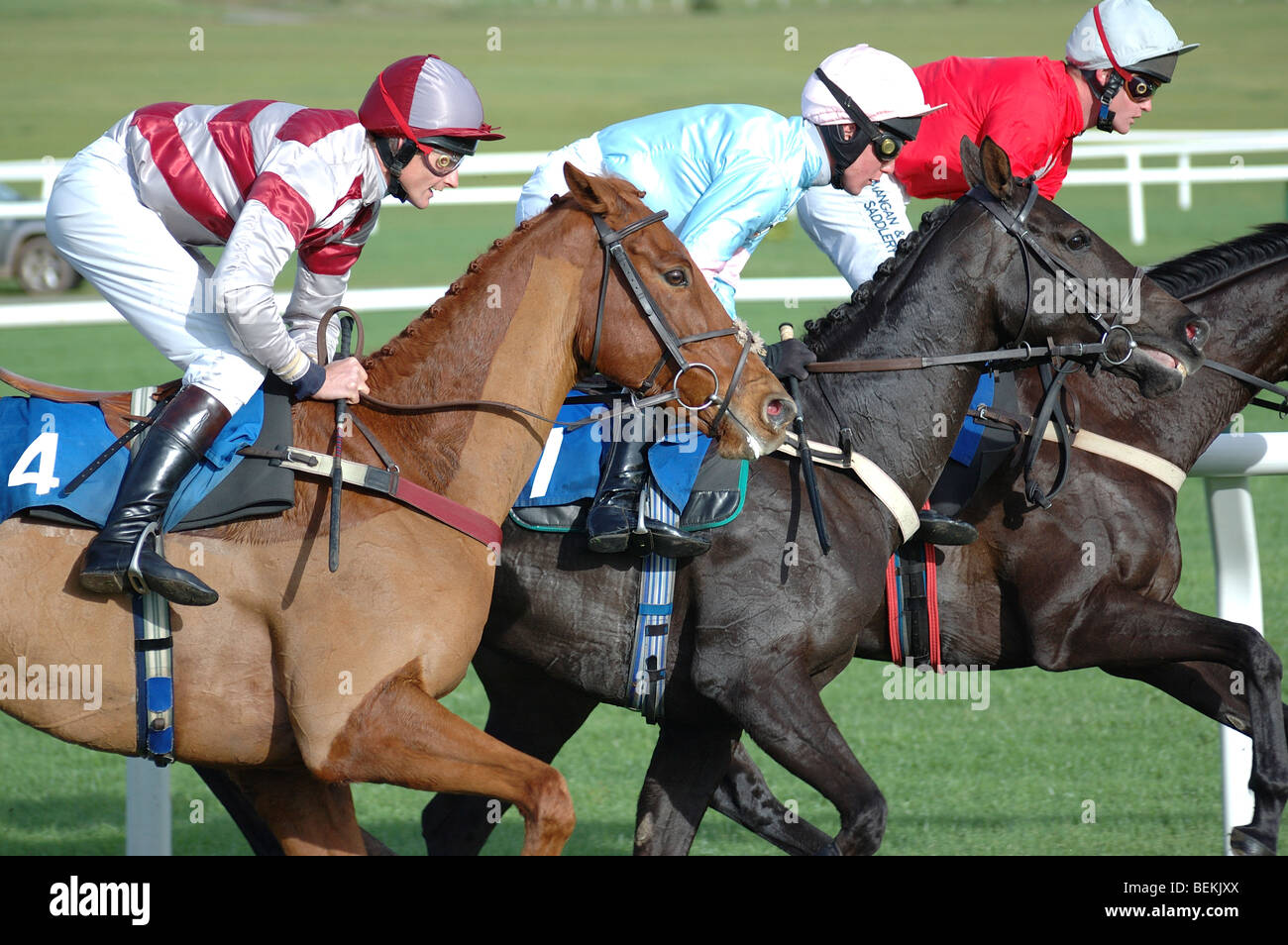 Horse and jockey Stock Photo Alamy
