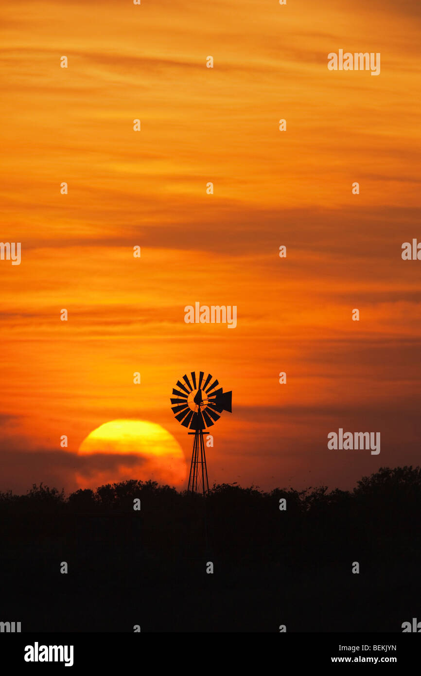 Wind mill at sunset, Sinton, Corpus Christi, Coastal Bend, Texas, USA 