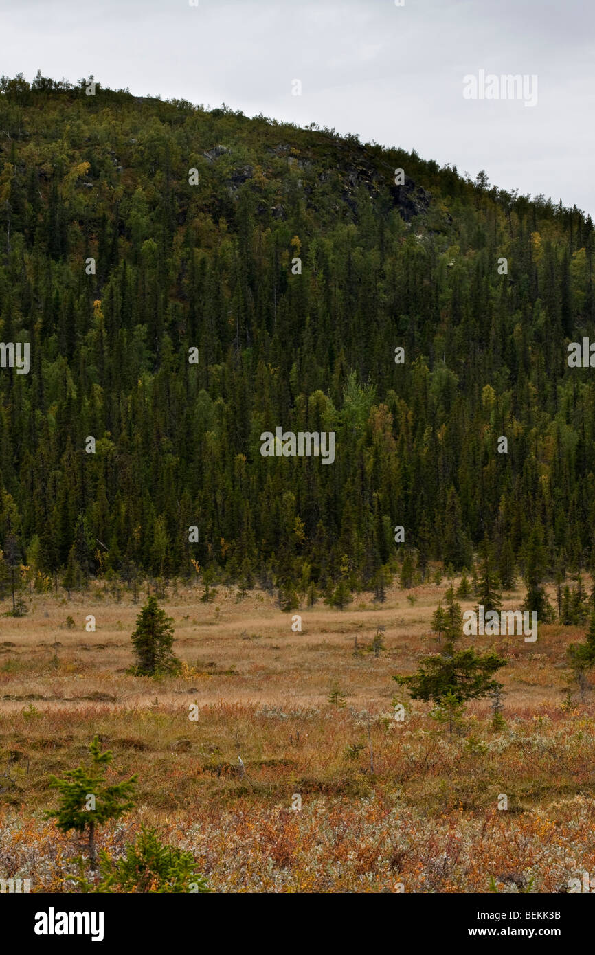 Sarek National Park Stock Photo - Alamy