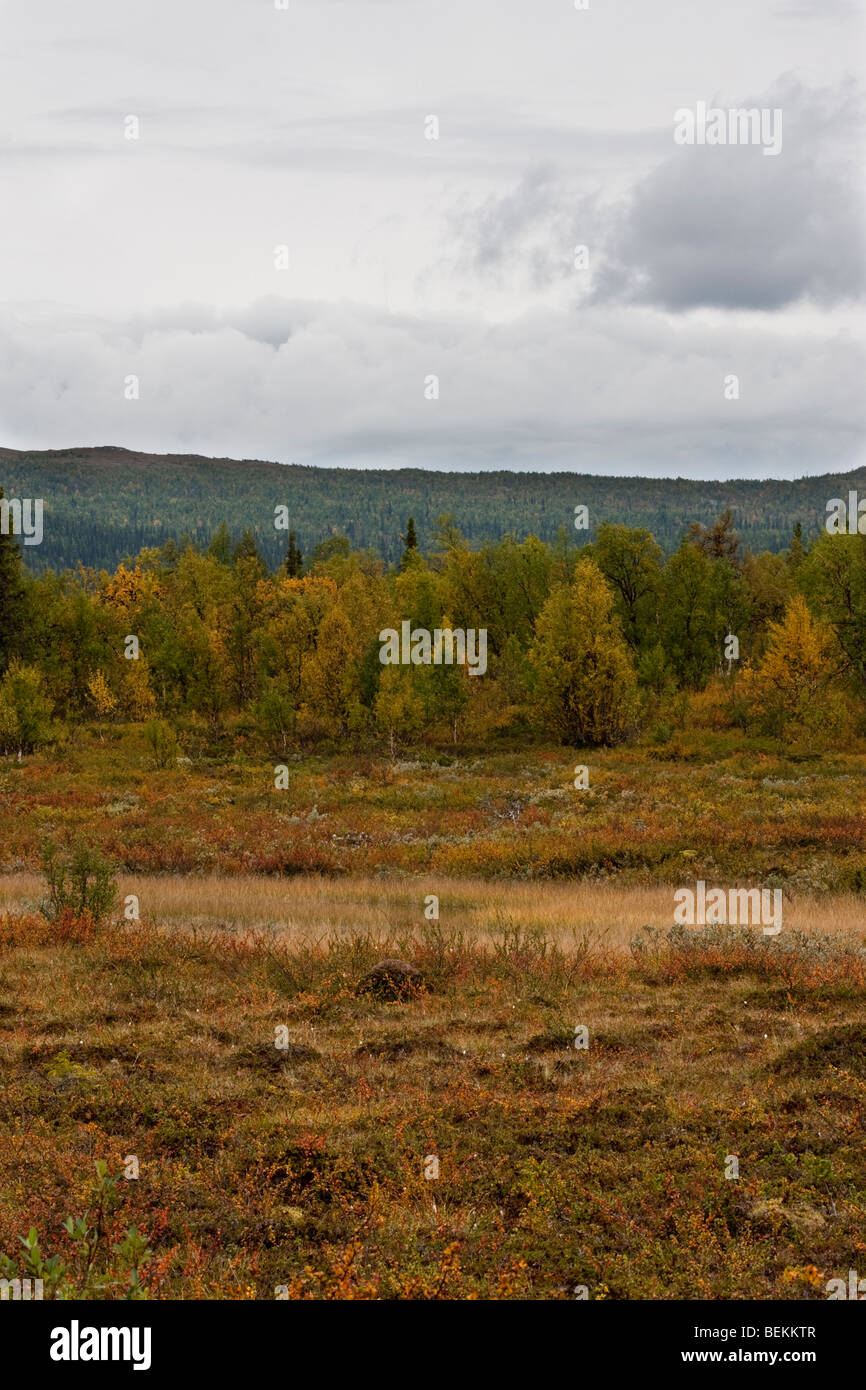 Sarek National Park Stock Photo - Alamy