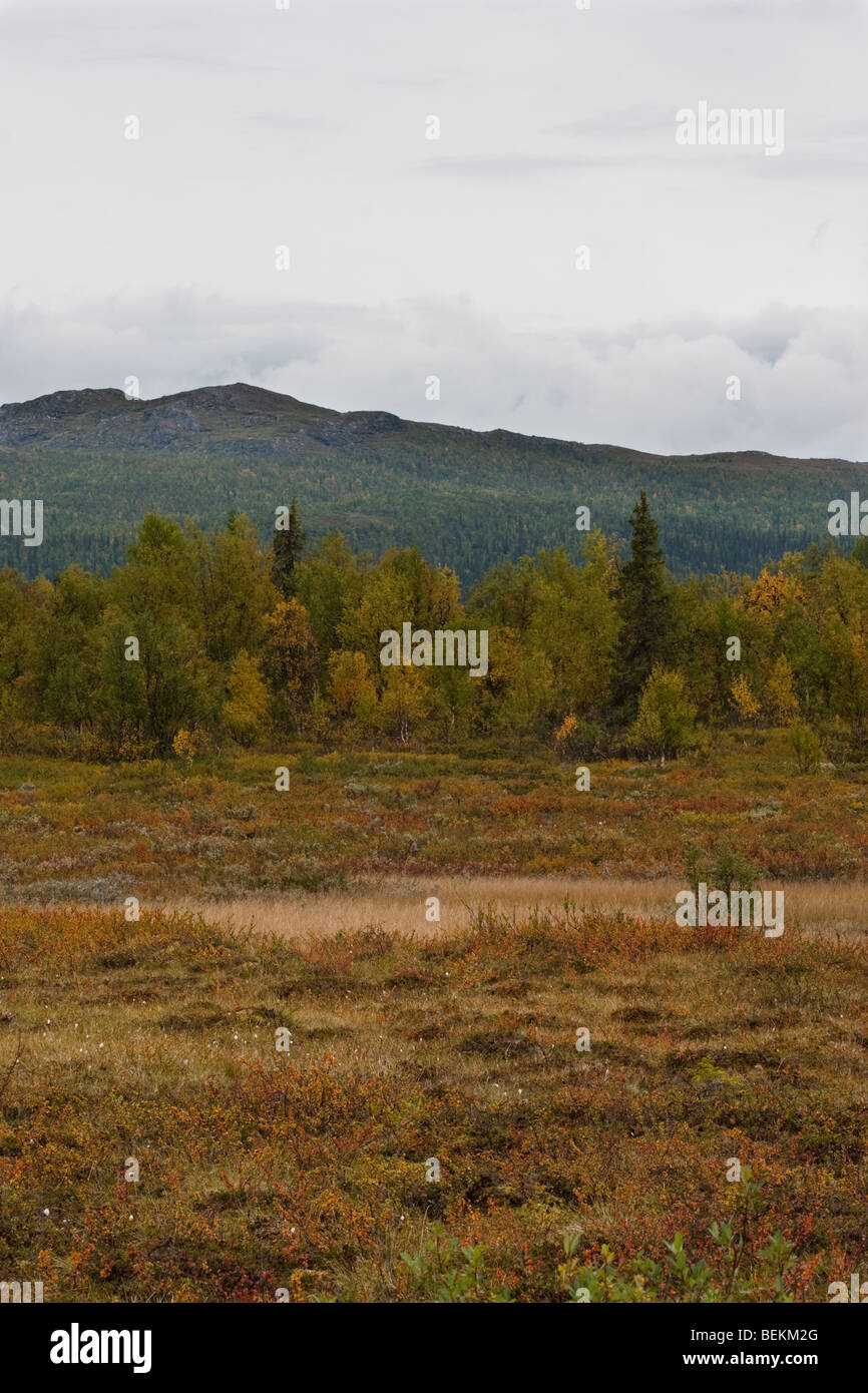 Sarek National Park Stock Photo - Alamy