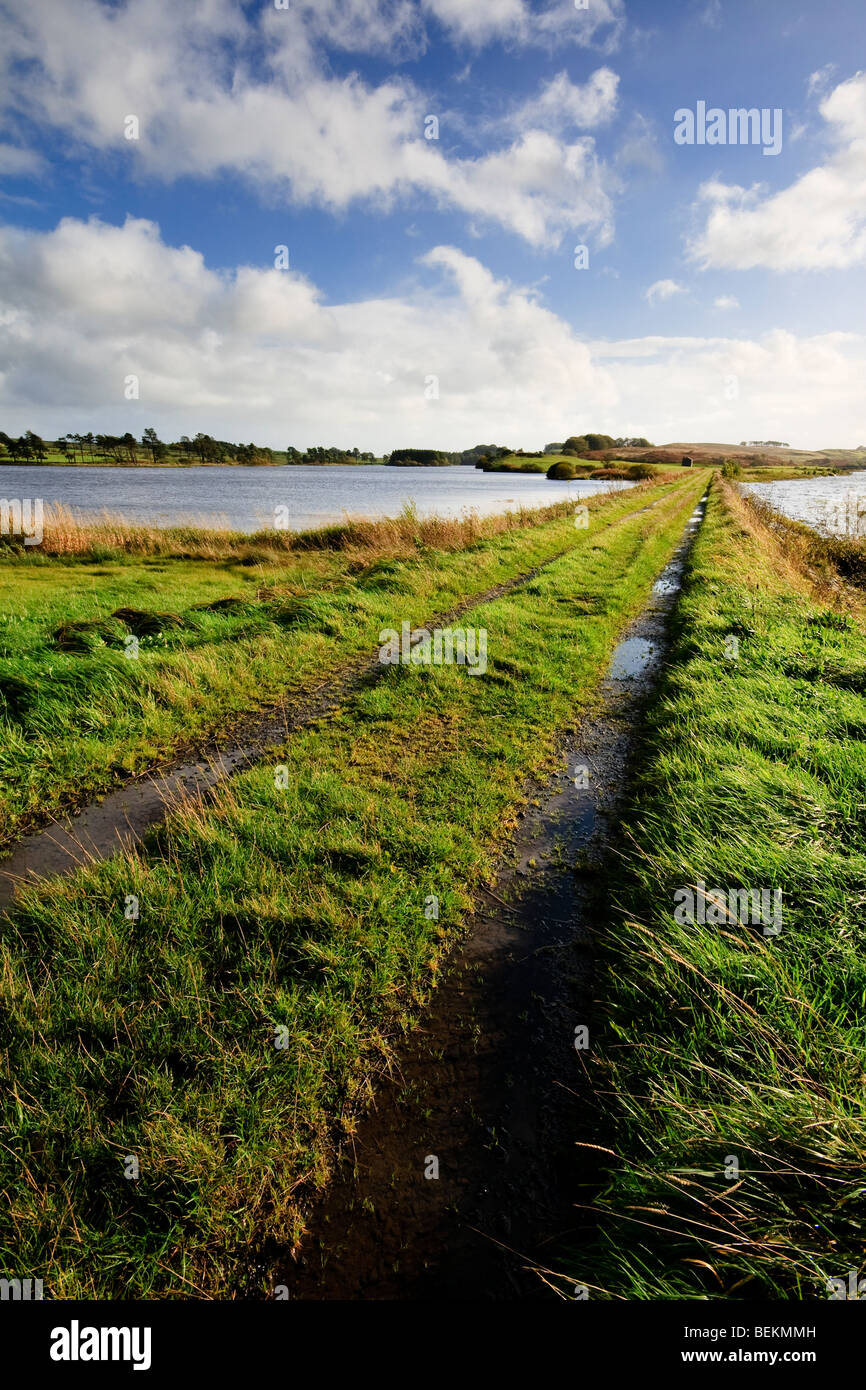 View of pathway leading out onto Barscraig Reservoir, Renfrewshire Stock Photo