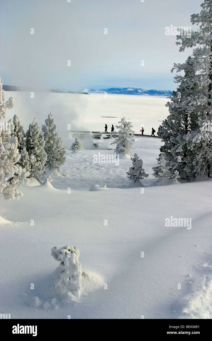 People walk in fog on trail at West Thumb, Yellowstone National Park in winter. Stock Photo