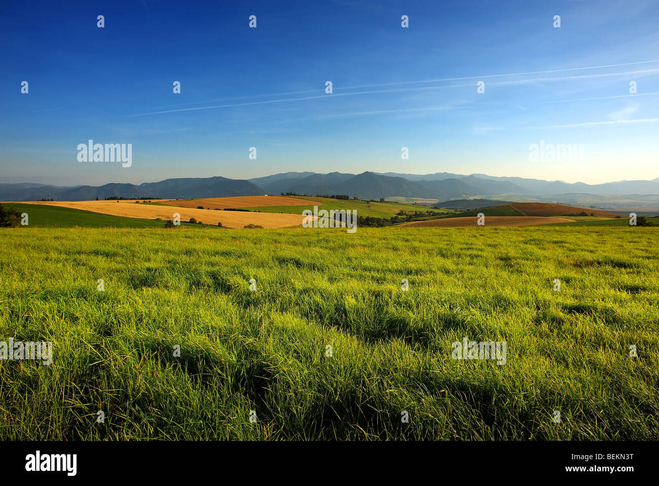grass on a meadow with fields, mountains and blue sky Stock Photo