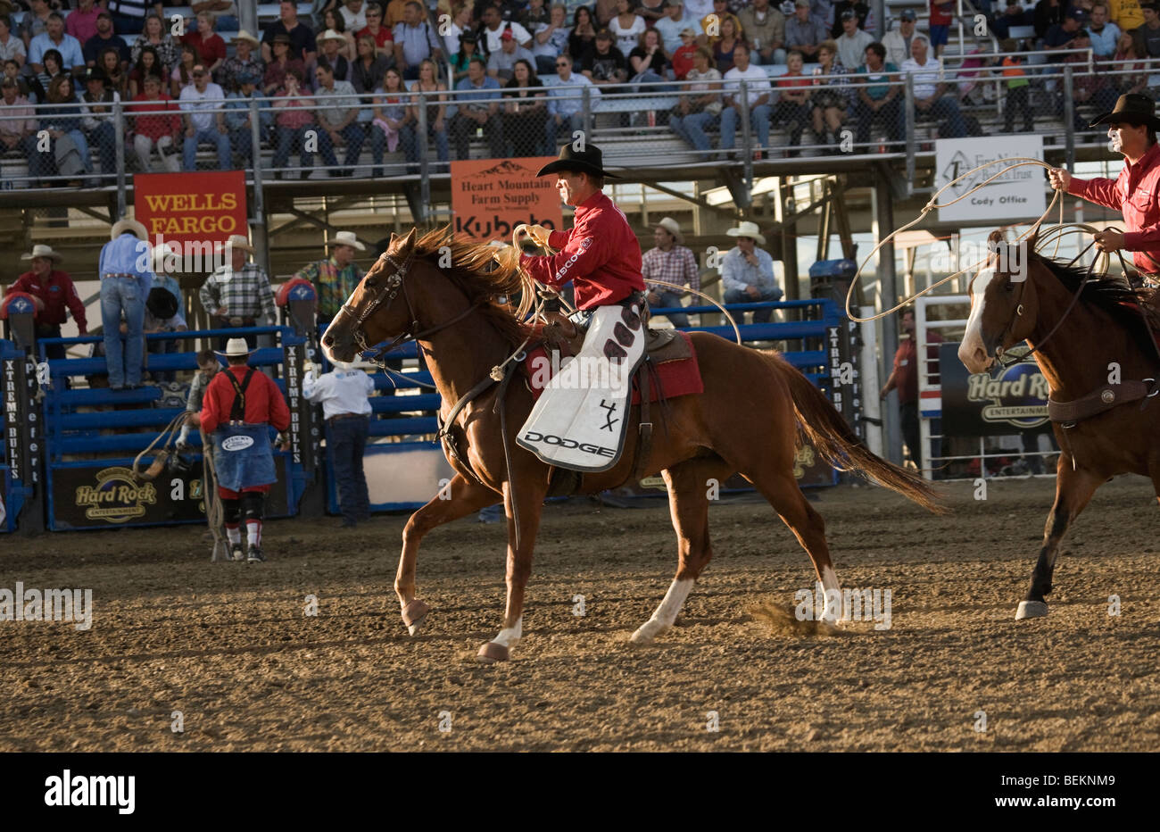 Cody Extreme bull Wyoming USA Rodeo Horse Stock Photo