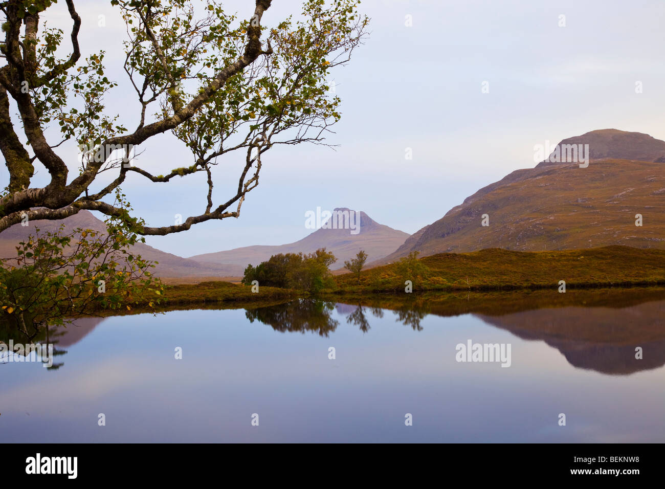 Polly reed hi-res stock photography and images - Alamy