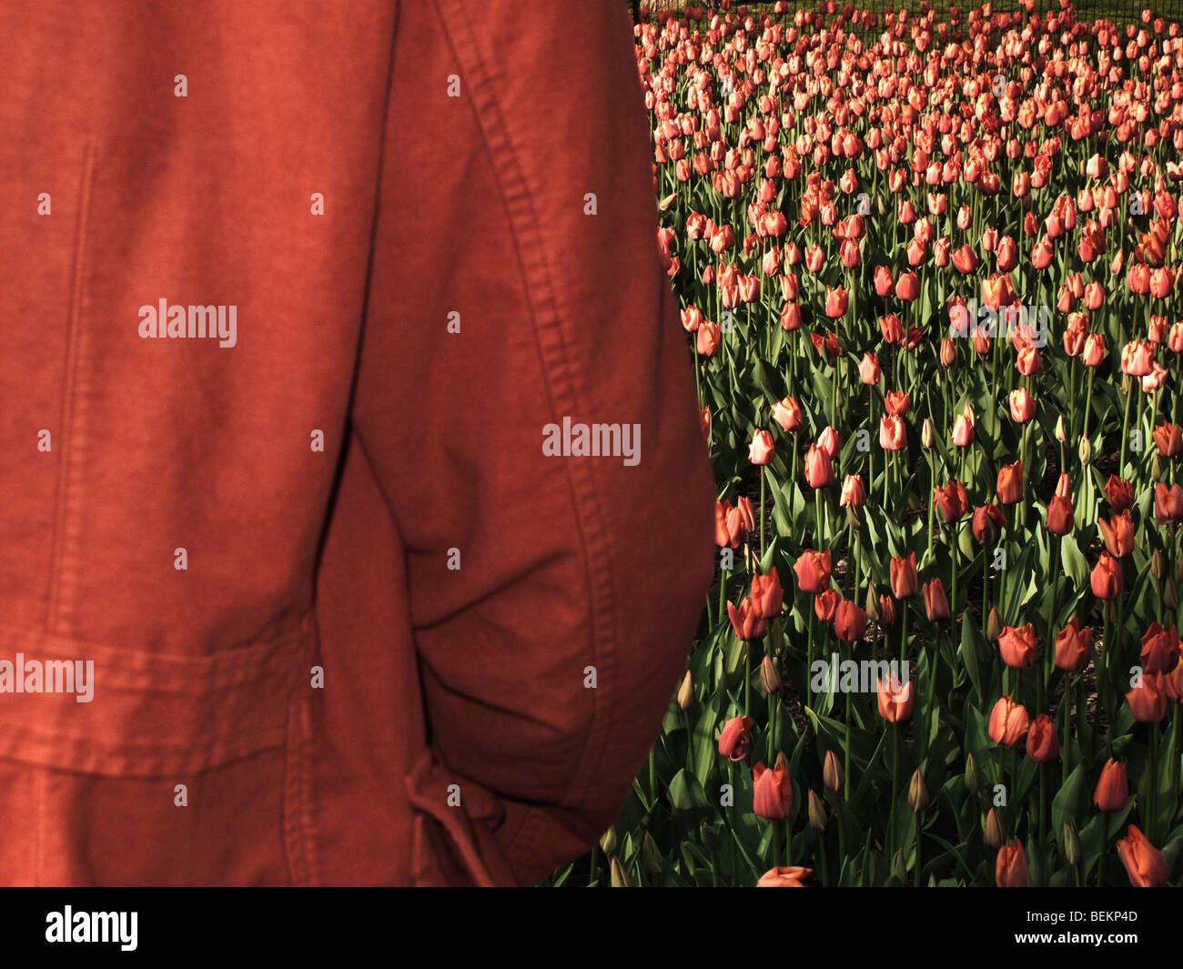 Person standing field field hi-res stock photography and images - Alamy
