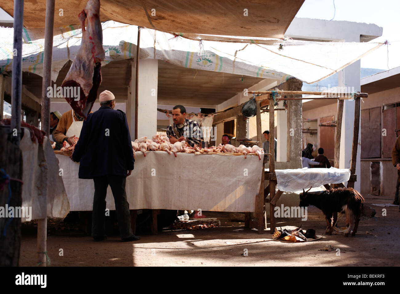 Goat Slaughter Stock Photos & Goat Slaughter Stock Images 