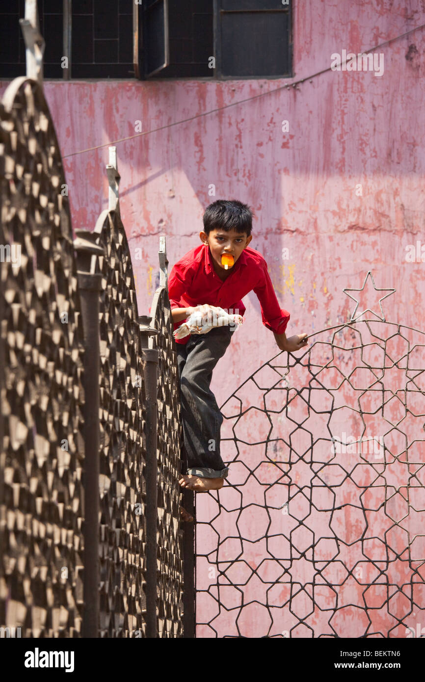 Boy retrieving his Chicken from behind a fence at a mosque in Old Dhaka Bangladesh Stock Photo