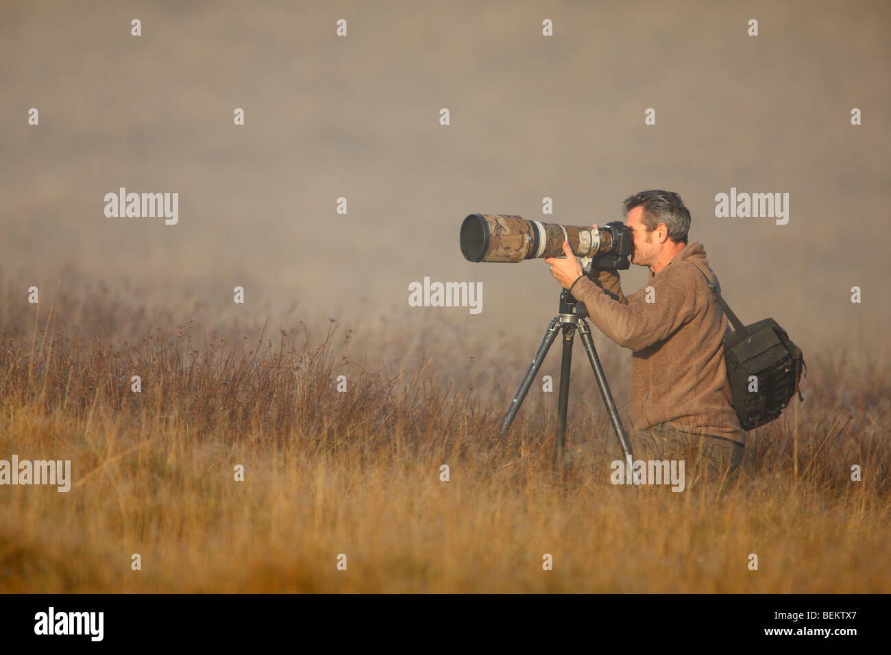 Photographer with long lens Stock Photo