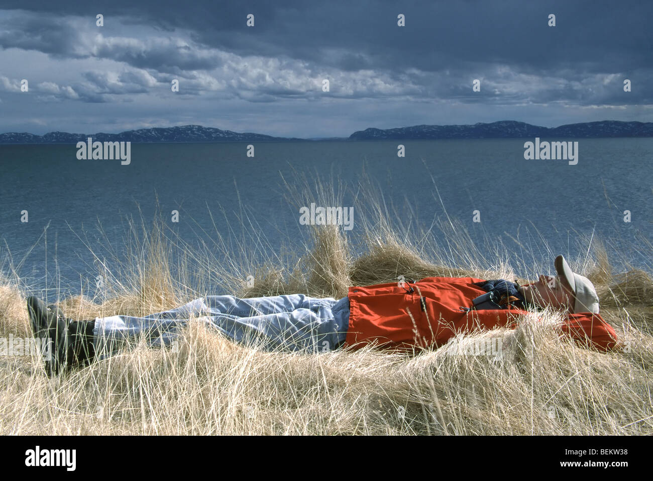 Relaxing birdwatcher in grass along coastline of Varangerfjord, Norway, Scandinavia Stock Photo
