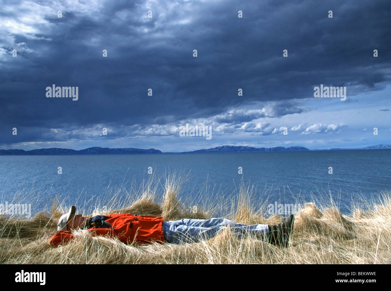Relaxing birdwatcher in grass along coastline of Varangerfjord, Norway, Scandinavia Stock Photo