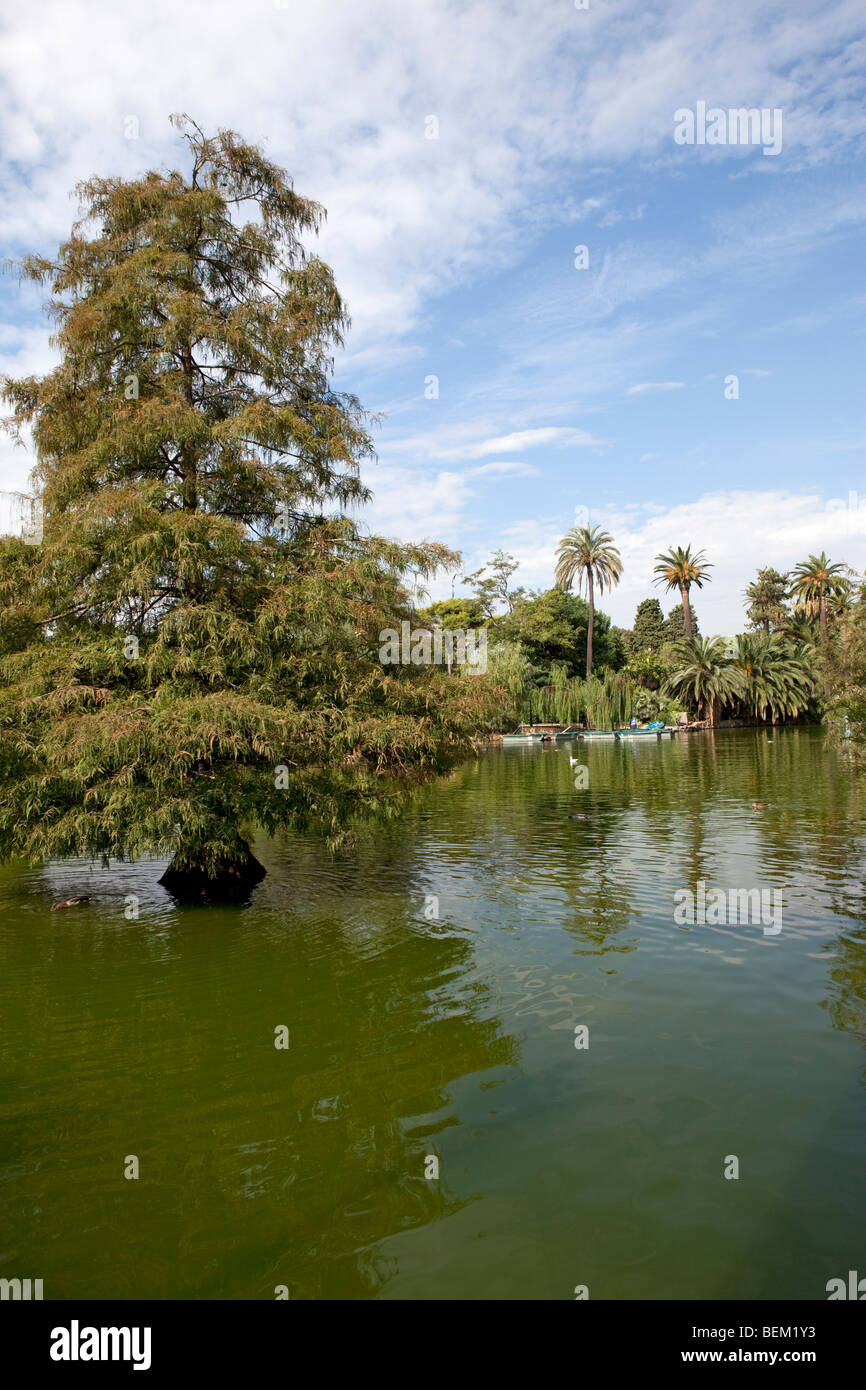 Barcelona lake in the Parc de la Ciutadella Old town Stock Photo Alamy