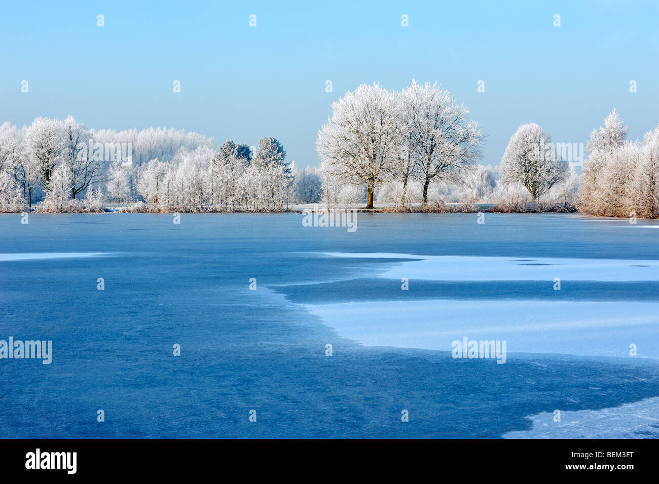 Frozen pond with ice in park landscape with trees covered in white frost / hoarfrost, Provincial Domain Wachtebeke, Belgium Stock Photo
