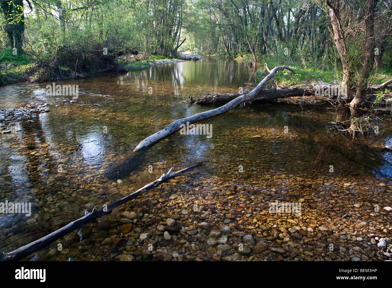 A shallow river, Provence Stock Photo