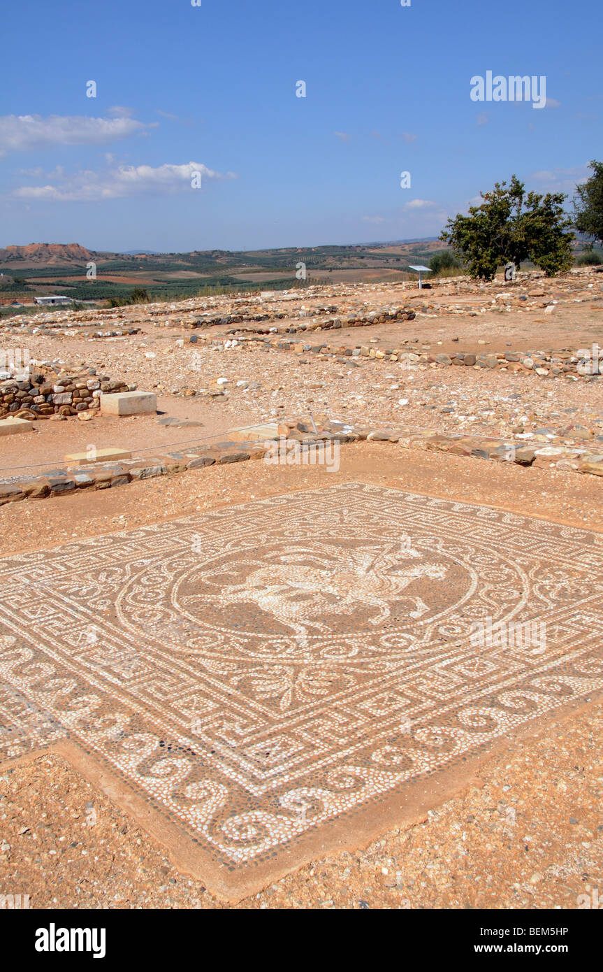 Ancient greek mosaic hi-res stock photography and images - Alamy