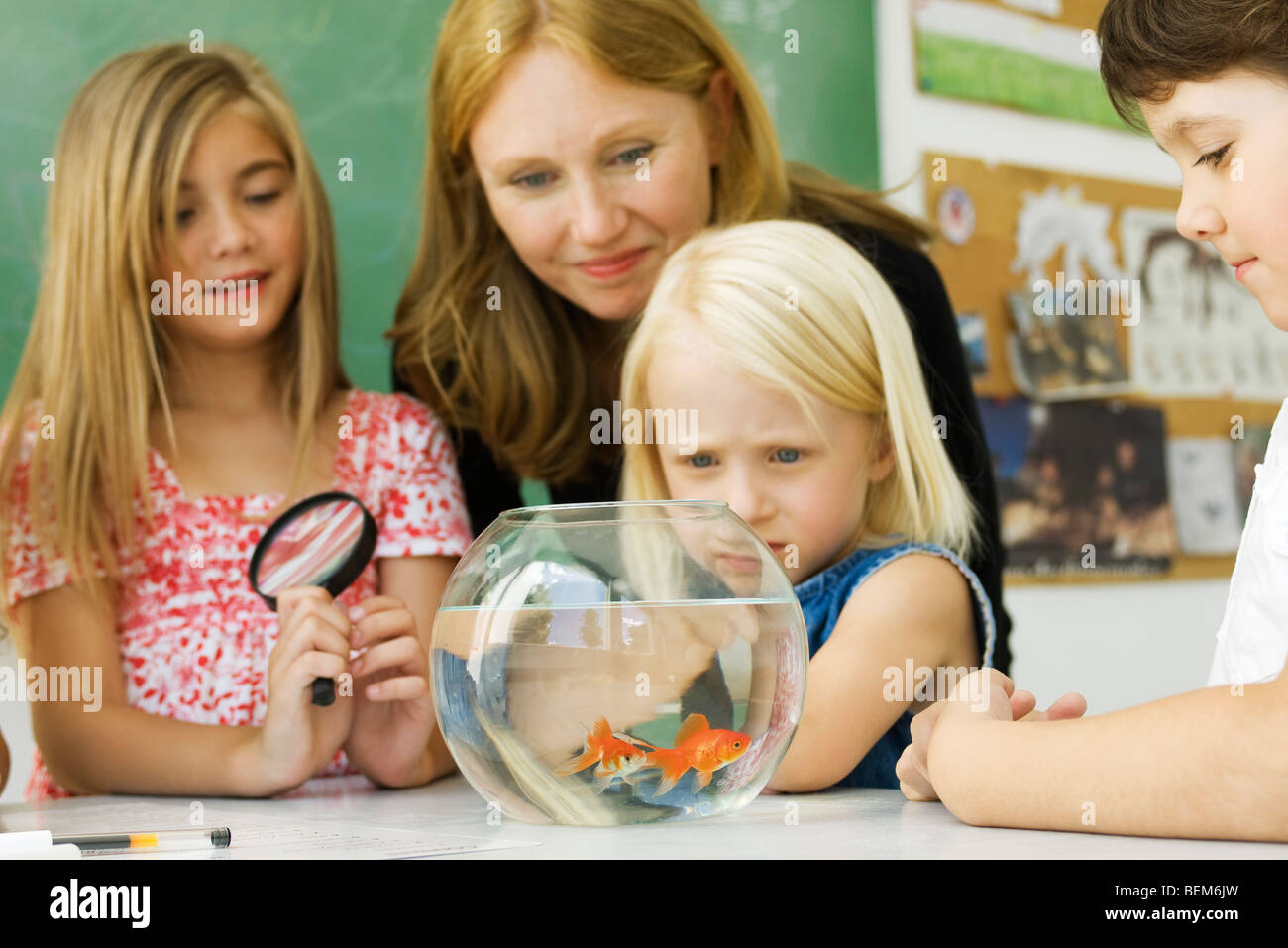 Elementary teacher and students gathered around goldfish bowl Stock Photo