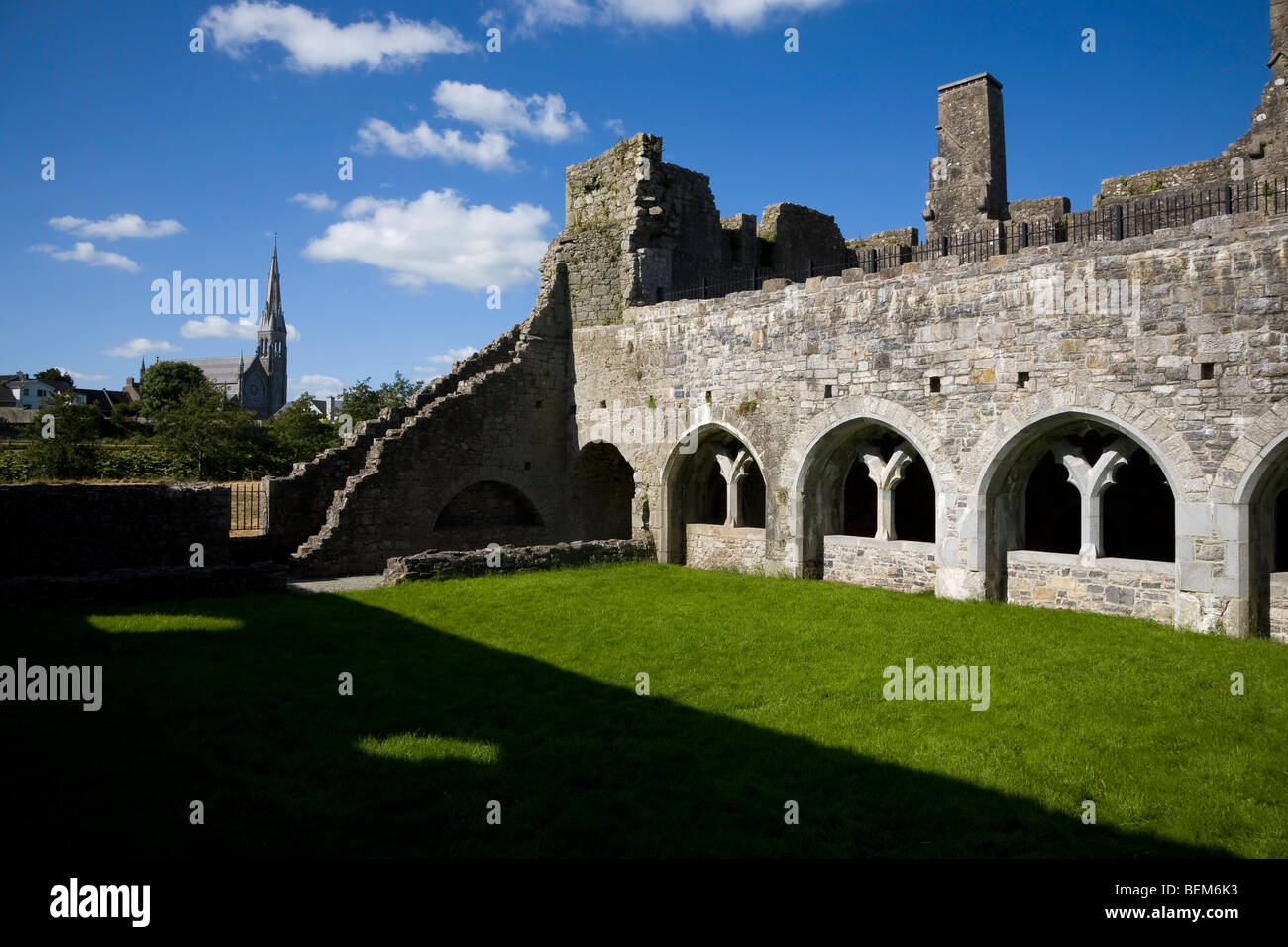 The Cloisters in Killmallock 13th Century Dominican Friary, Co Limerick, Ireland Stock Photo