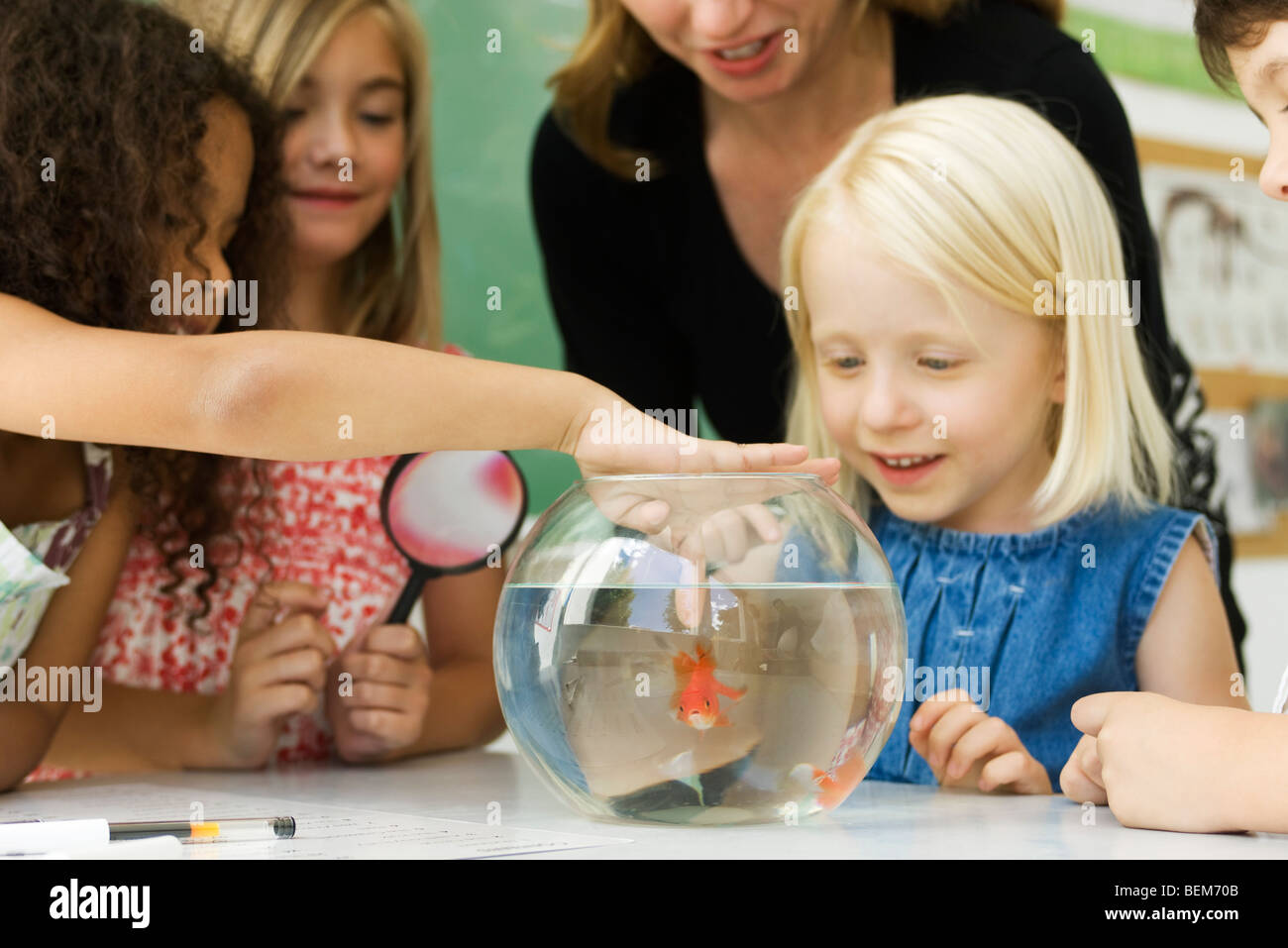 Elementary teacher and students gathered around goldfish bowl, one girl sticking finger in water Stock Photo