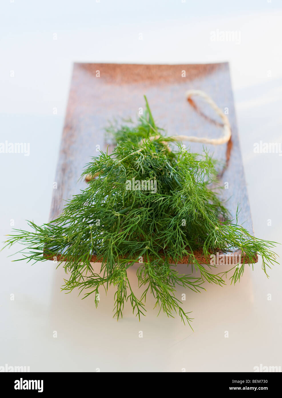 Dill photos hi-res stock photography and images - Alamy