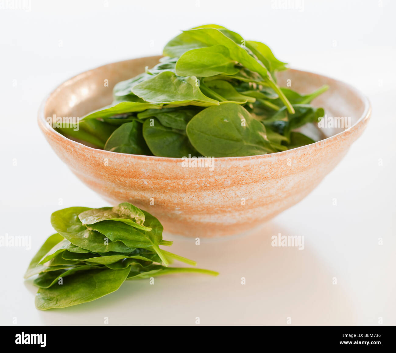 Baby spinach Stock Photo