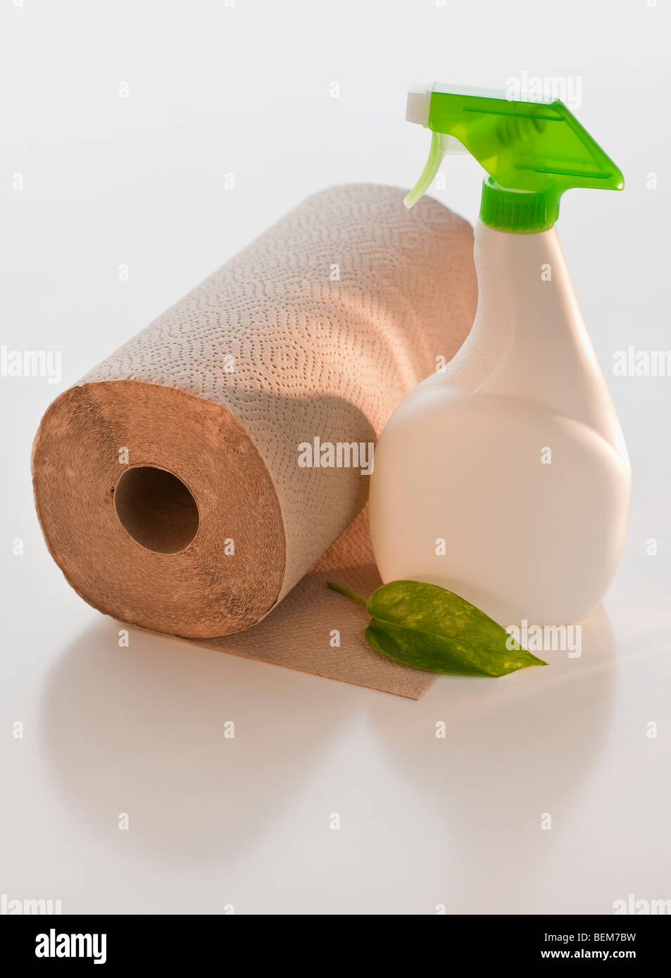 Paper towels and cleaner Stock Photo Alamy