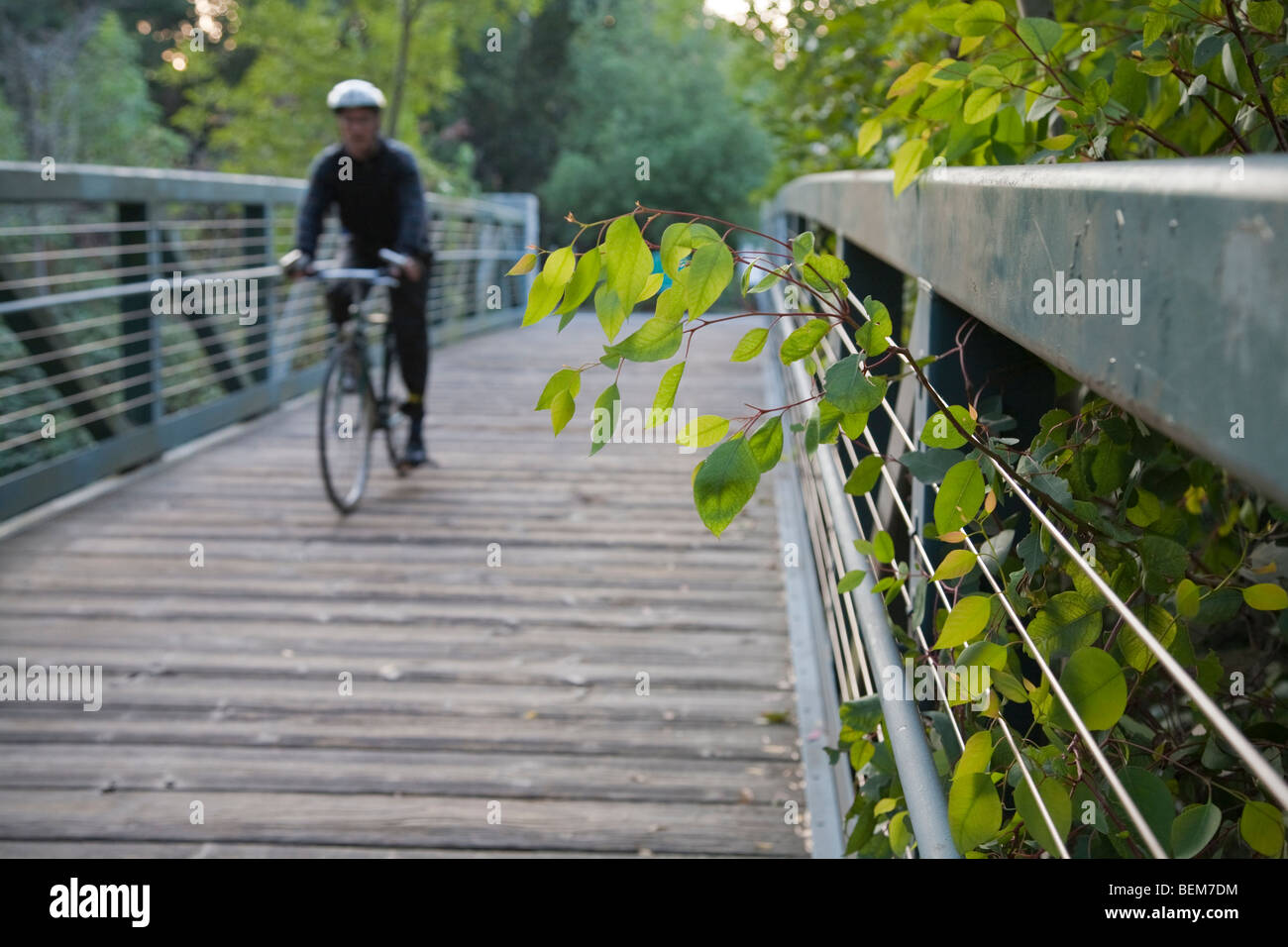 A cyclist riding over Stevens Creek. Mountain View, California, USA Stock Photo Alamy