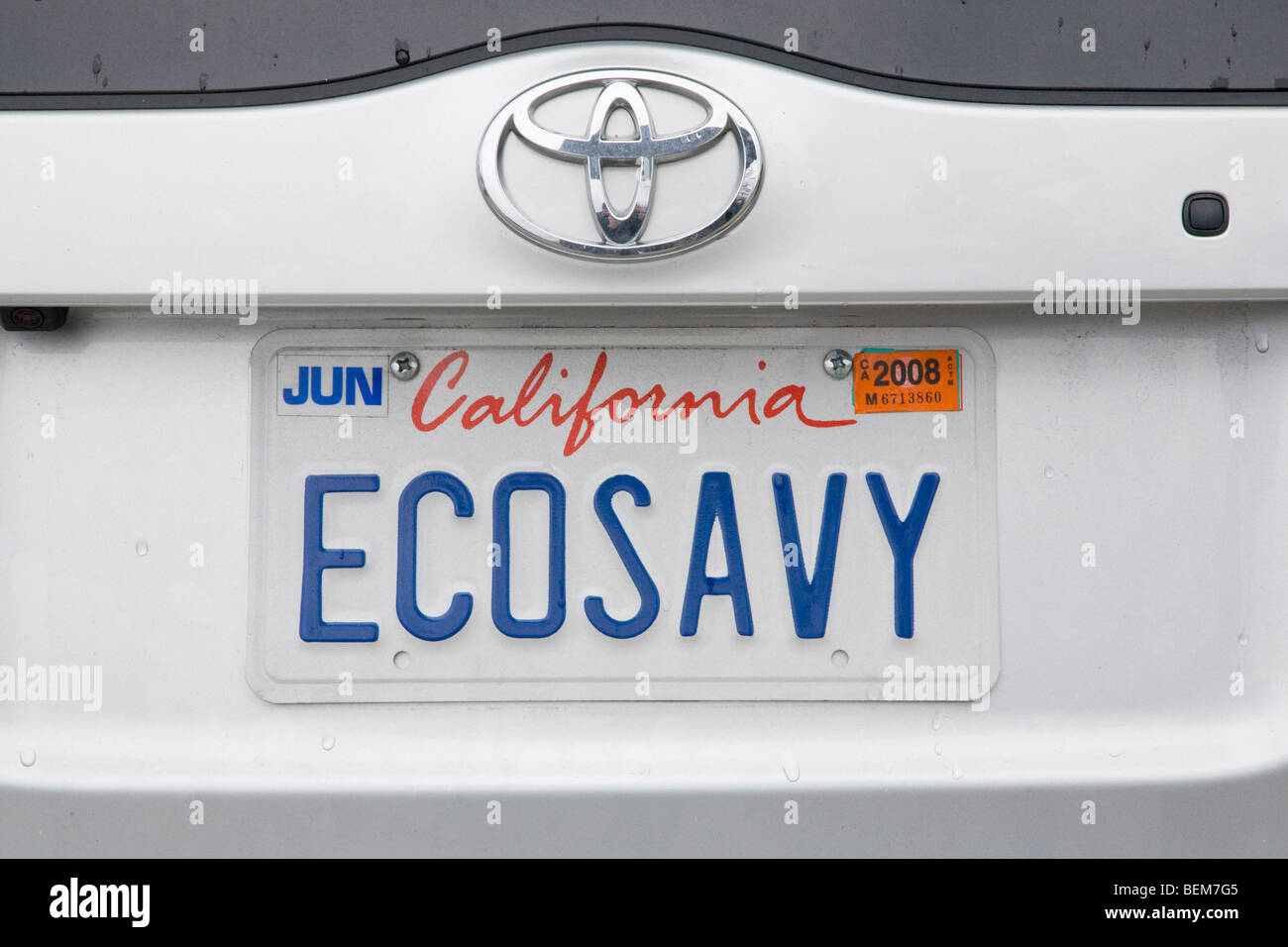 A close up of a 'ECOSAVY' (Eco Savvy) license plate on Toyota Prius hybrid. Millbrae, California, USA Stock Photo