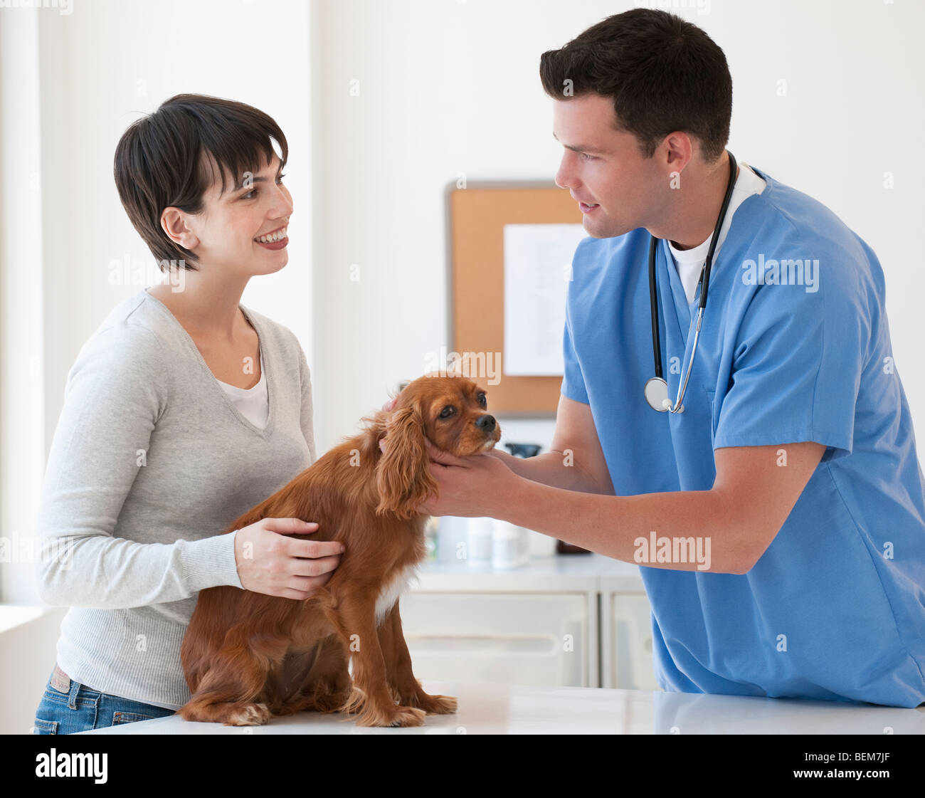 Vet and owner with dog Stock Photo