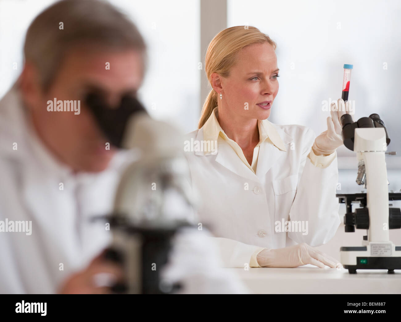 Researchers working in lab Stock Photo Alamy