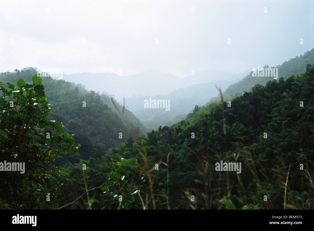 Panorama landscape image lush hi-res stock photography and images - Alamy