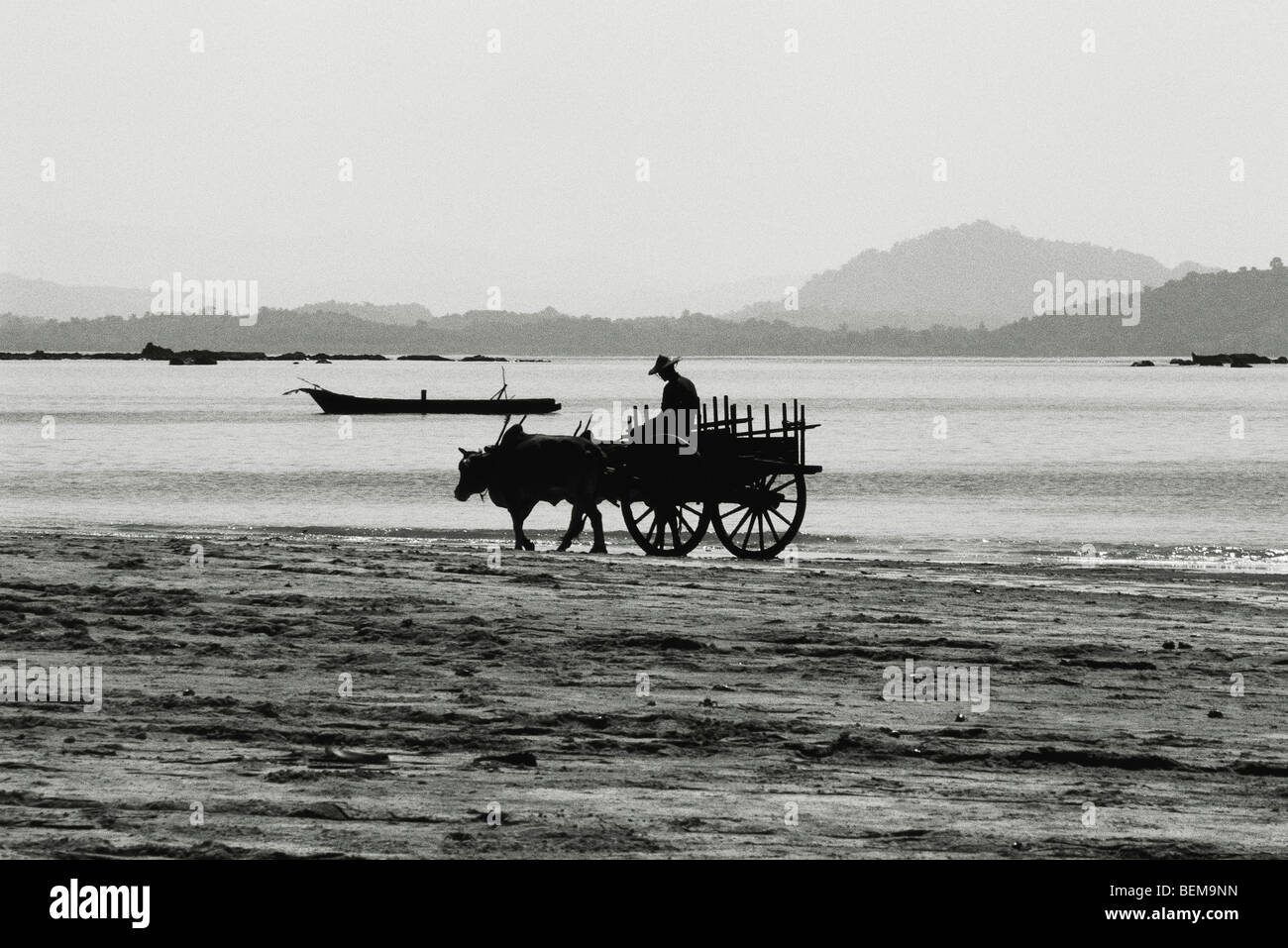 Myanmar (Burma), Ngapali beach ox cart Stock Photo