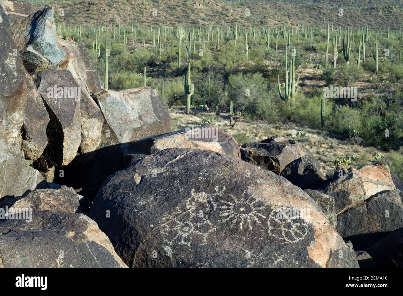 Rock art at Signal Hill, by Hohokam Indians, showing spiral petroglyphs near Tucson, Saguaro National Park, Arizona, USA Stock Photo