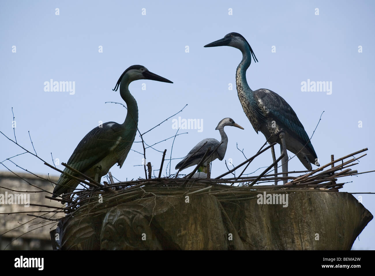 Russia Caucasus Sochi Mount Akhun bird sculpture Stock Photo