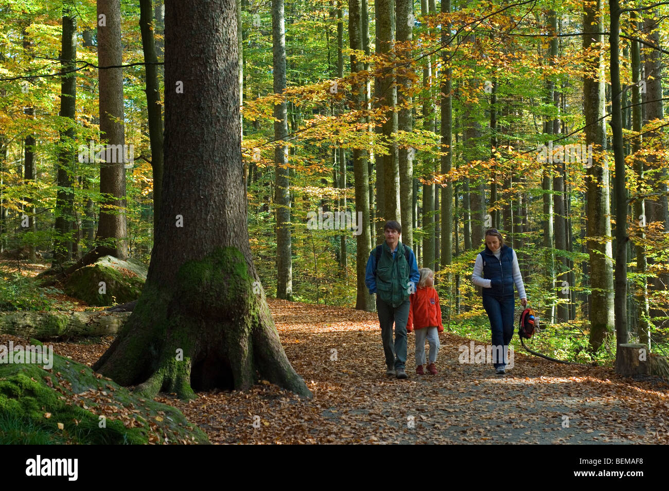 Family with child walking in autumn forest Stock Photo - Alamy