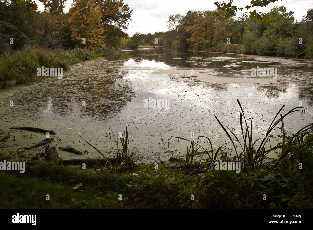 Wanstead Park, London, England Stock Photo Alamy