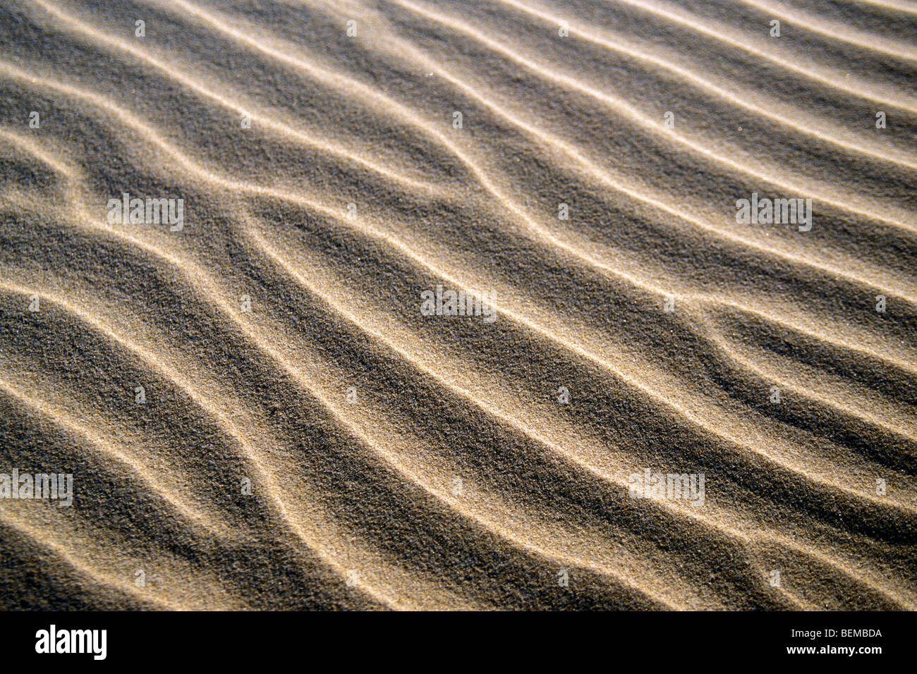 Abstract pattern of sea sand ripples formed by the wind on beach along the coast Stock Photo
