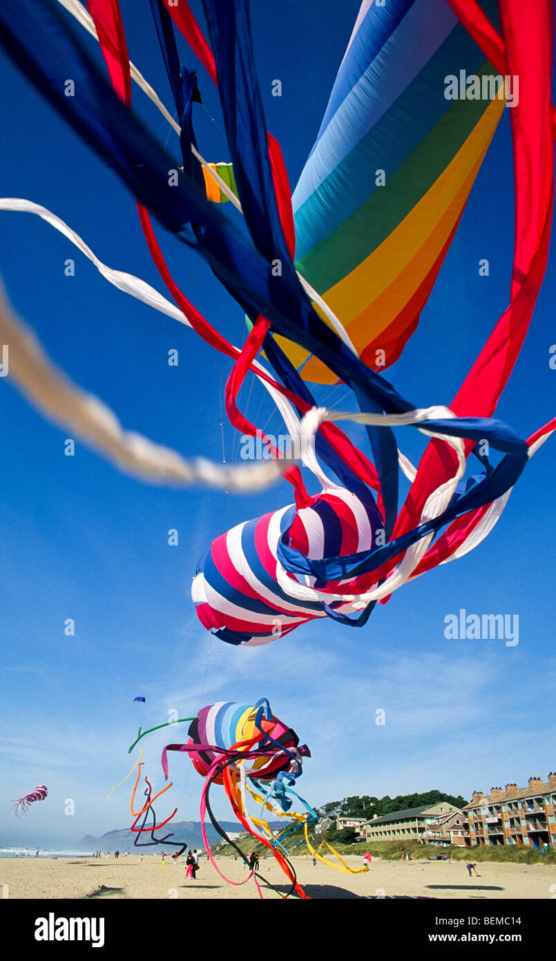 Low angle view of tubular type kite flying during the Lincoln City Kite