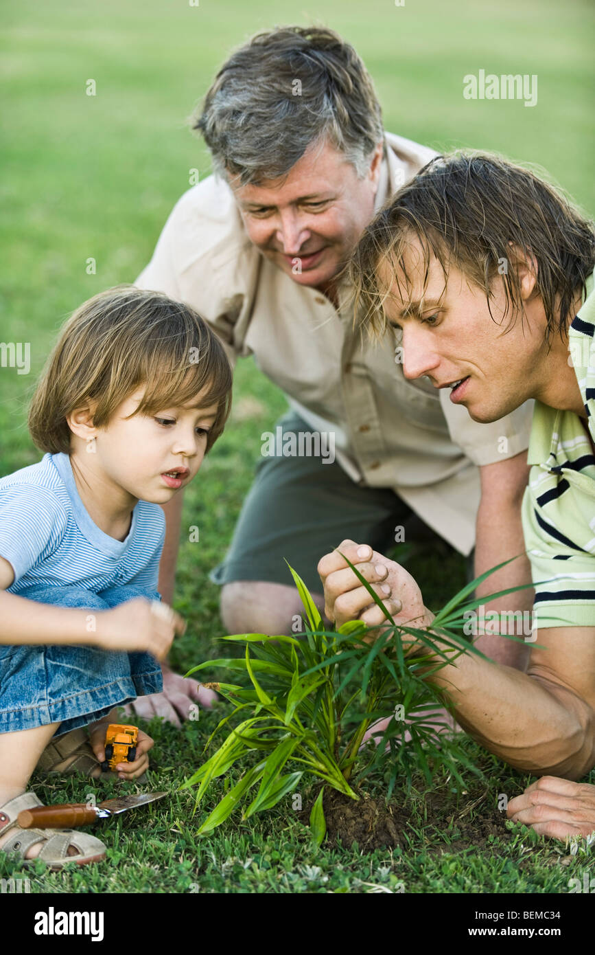 Little boy gardening with father and grandfather Stock Photo