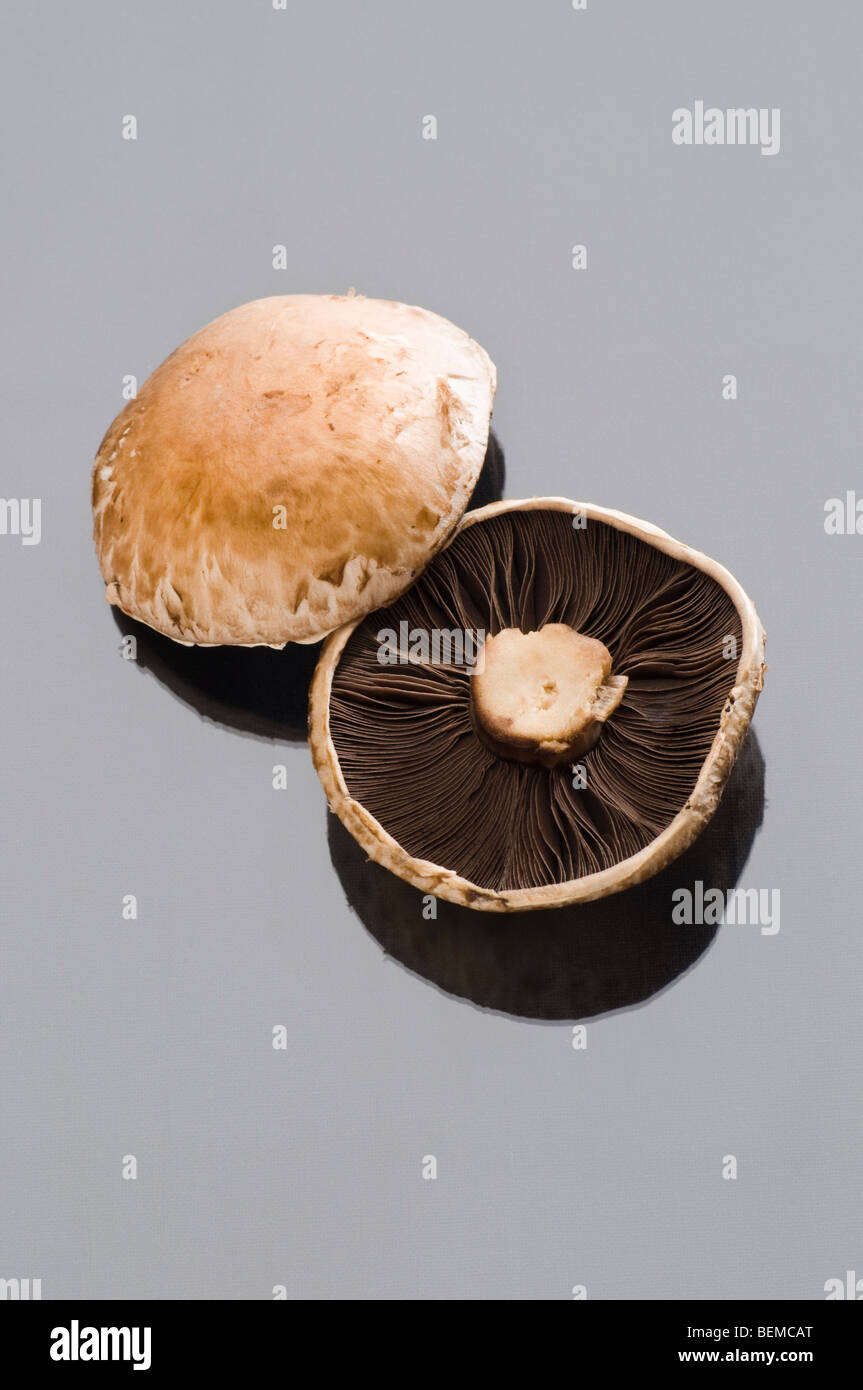 Raw chestnut mushrooms hires stock photography and images Alamy