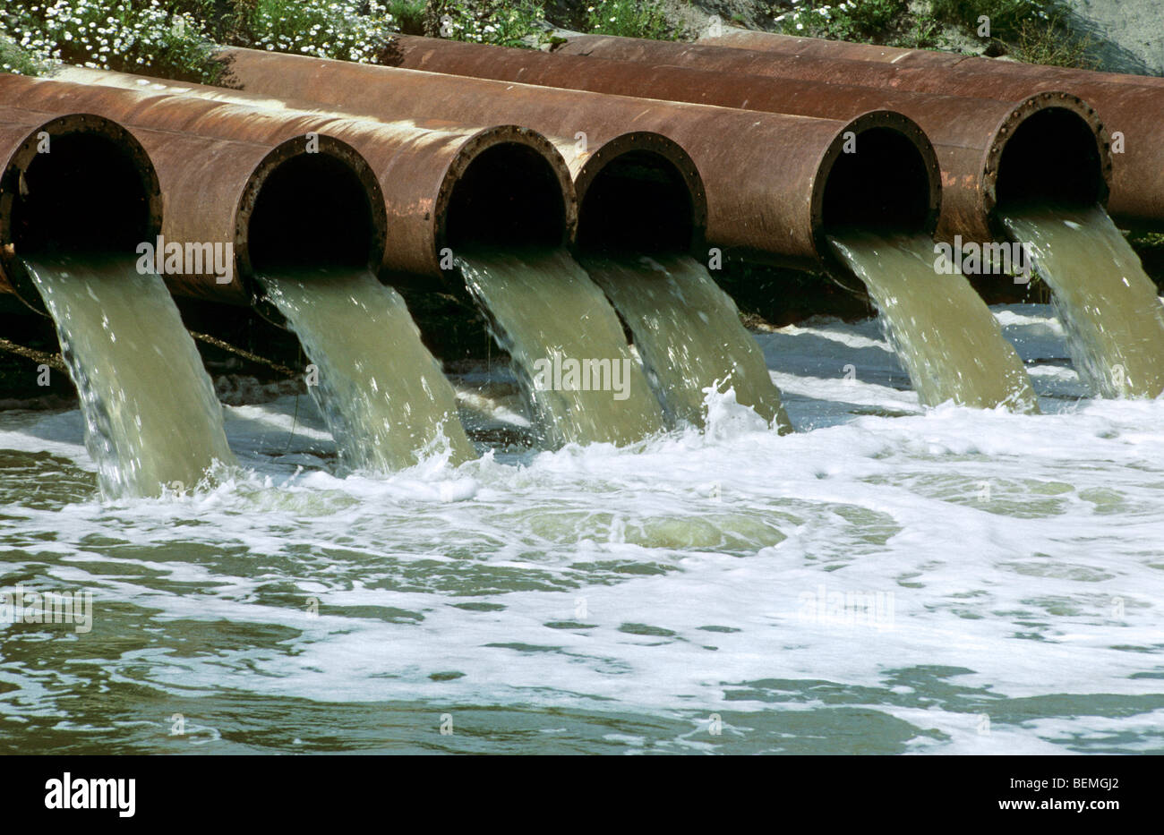 Pollution by industry draining waste water in canal Stock Photo Alamy