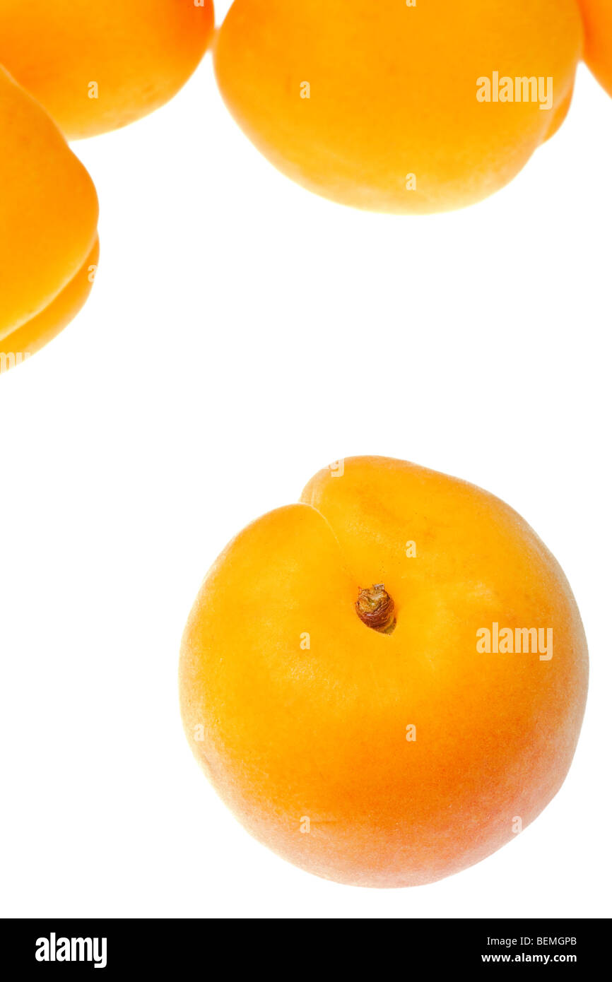 apricot isolated on a pure white background Stock Photo - Alamy