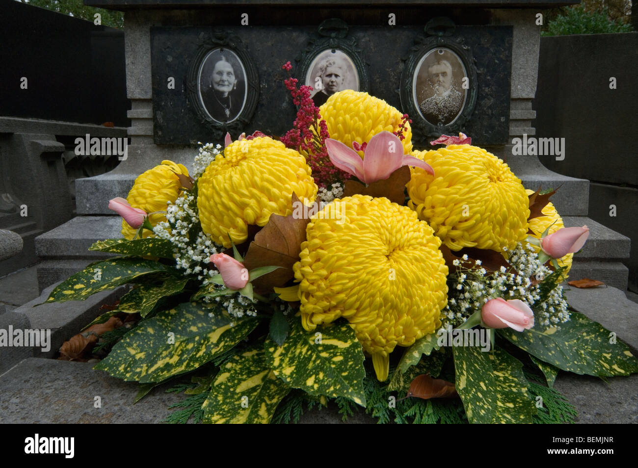 Flowers on gravestone hires stock photography and images Alamy